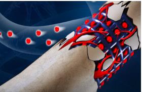 Concanavalin A 等多种蛋白荧光标识定制合成