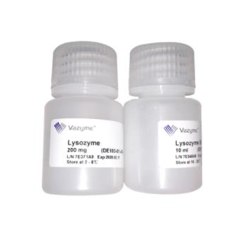诺唯赞Vazyme Lysozyme溶菌酶 200mg DE103