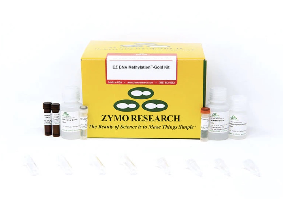ZYMO EZ DNA Methylation-Gold Kit DNA 甲基化试剂盒 D5005