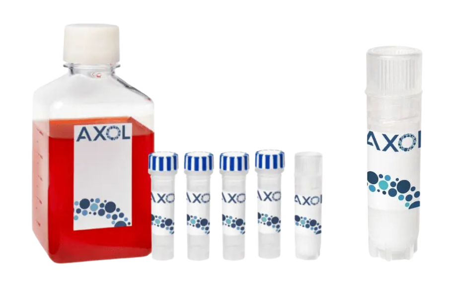 英国AXOL Bioscience iPSC 衍生细胞axoCells
