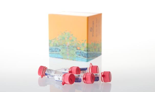 Promega 测序级胰蛋白酶 Sequencing Grade Modified Trypsin V5111