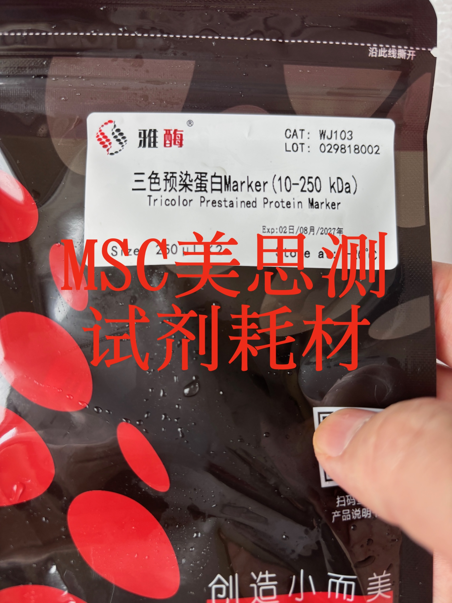 雅酶 三色预染蛋白Marker 10 kDa~250 kDa WJ103