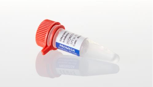 Promega RNasin Inhibitor RNA核酸酶抑制剂 N2611