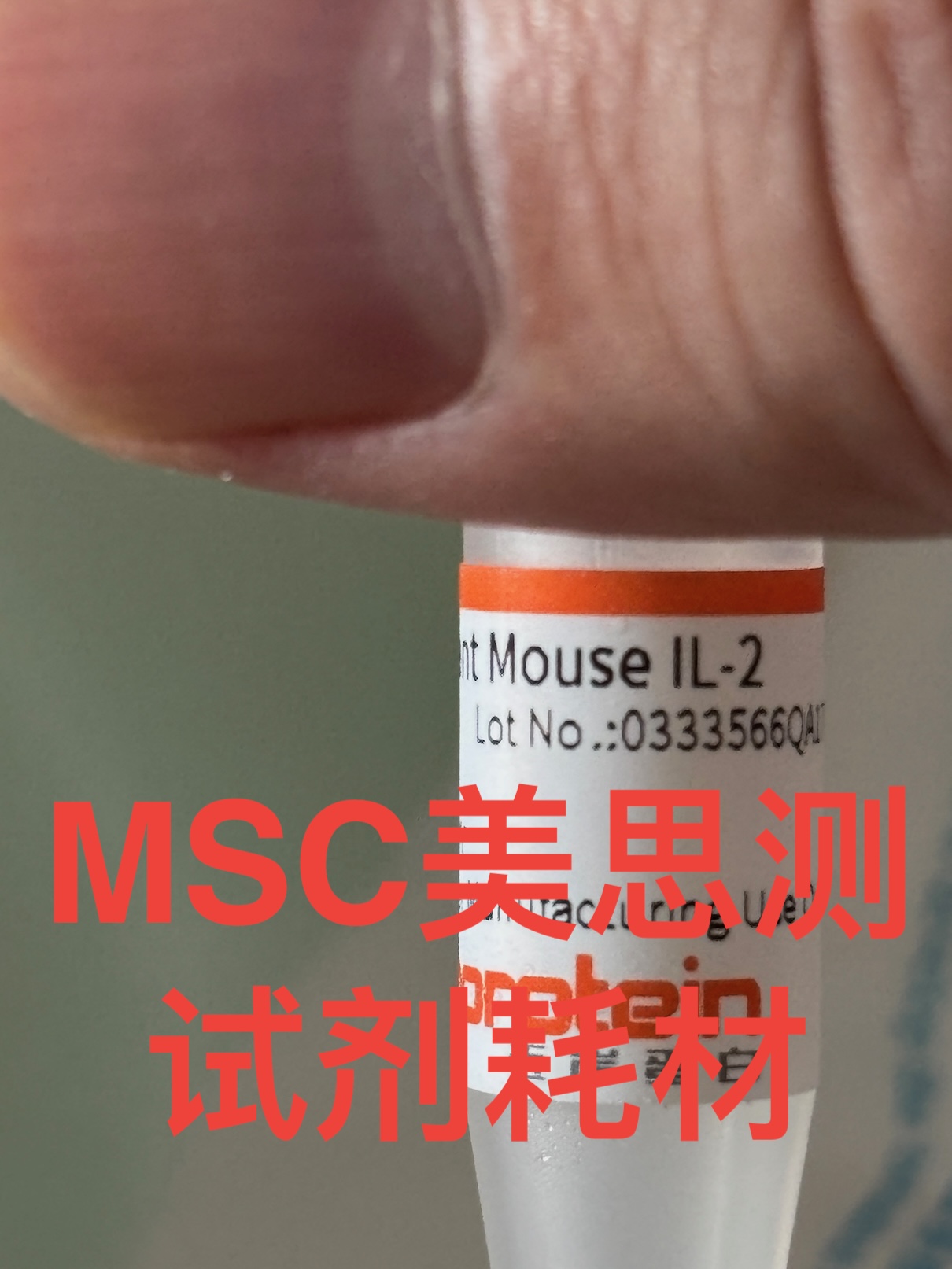 近岸蛋白 Mouse IL-2细胞因子 CK24-10ug