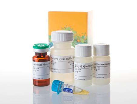 Promega 双荧光素酶检测系统 E1910