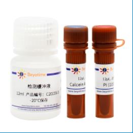 碧云天 Calcein/PI（AMPI）细胞活性与细胞毒性检测试剂盒 100次