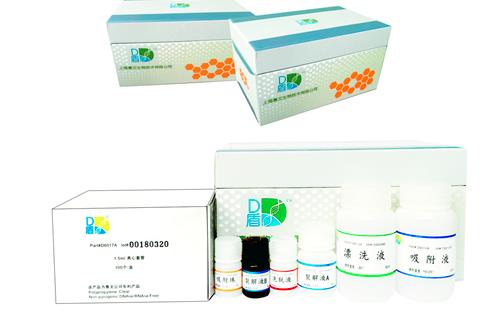 D盾 超敏DNA提取试剂盒（二代） 100次