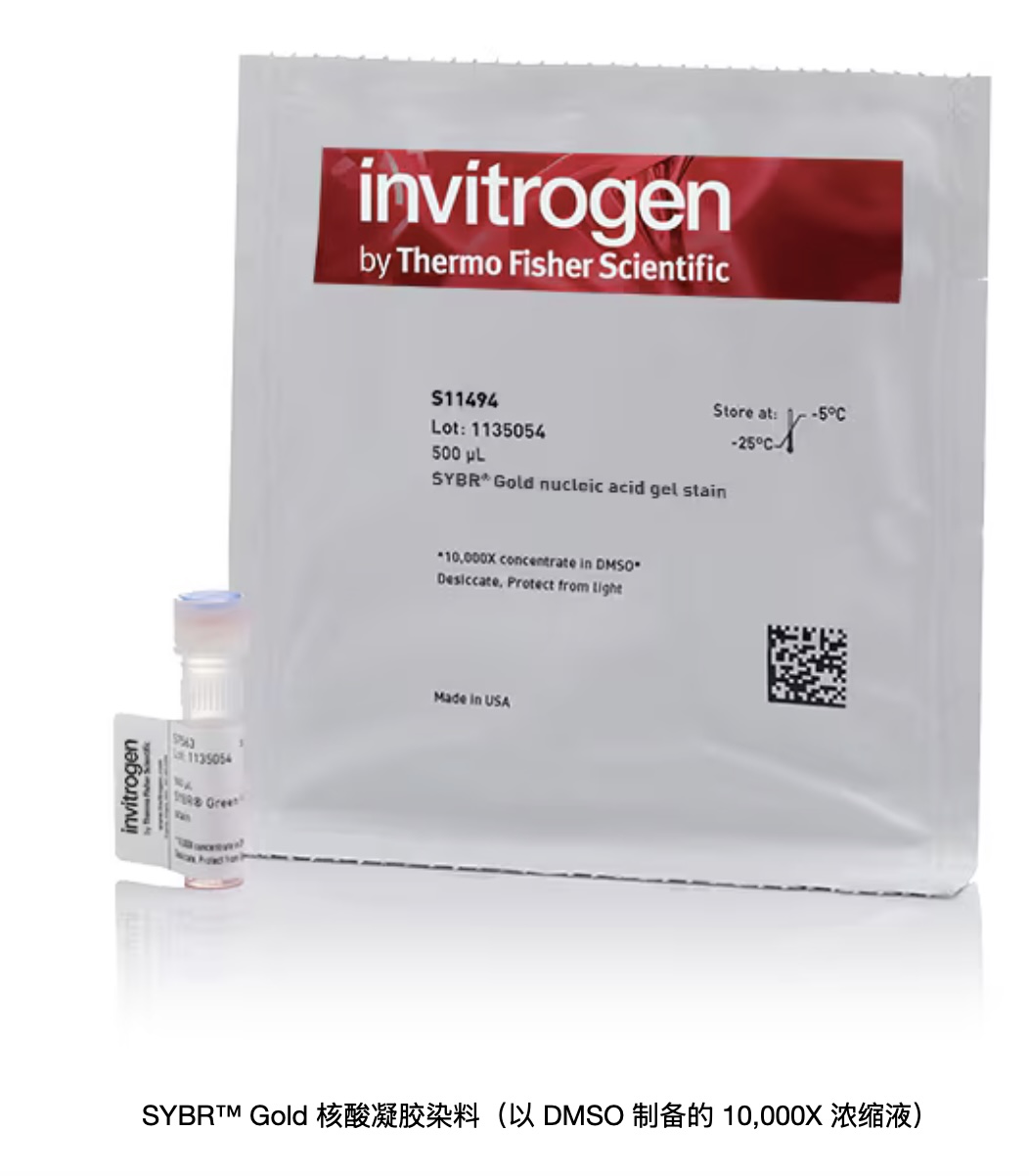 Invitrogen  SYBR Gold 核酸凝胶染料 500ul