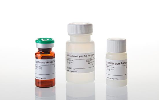 Promega 荧光素酶检测系统100 assays E1500