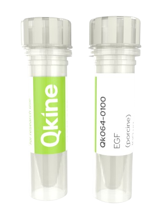 英国Qkin iPSC 细胞因子和生长因子