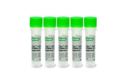iTaq universal SYBR Green超混合液