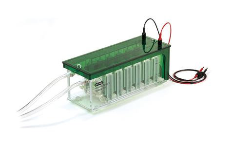 Mini-PROTEAN 3 Dodeca 小型高通量電泳槽