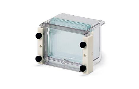 Mini-PROTEAN 3 多板凝胶灌胶器
