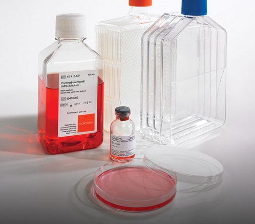  BioCoat 细胞培养容器