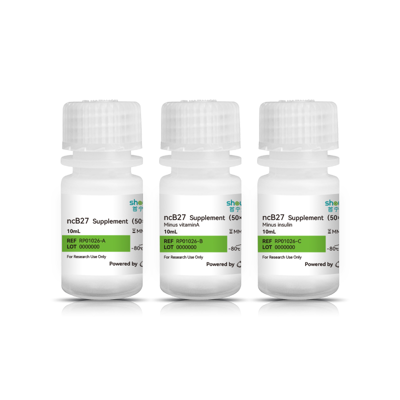ncB27無血清添加劑