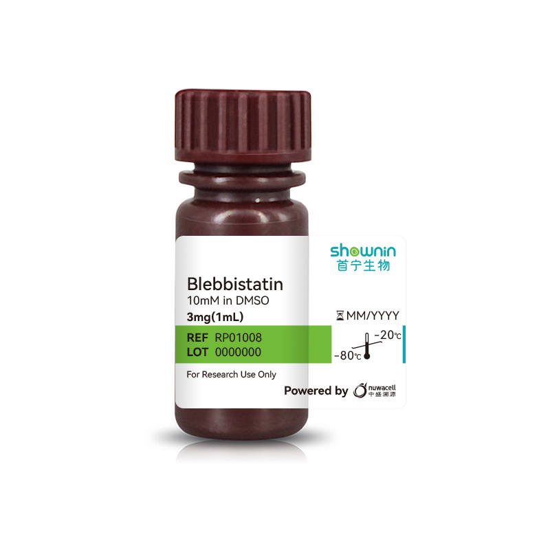 ROCK 通道抑制劑-Blebbistatin