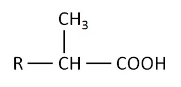 异辛酸合成工艺技术