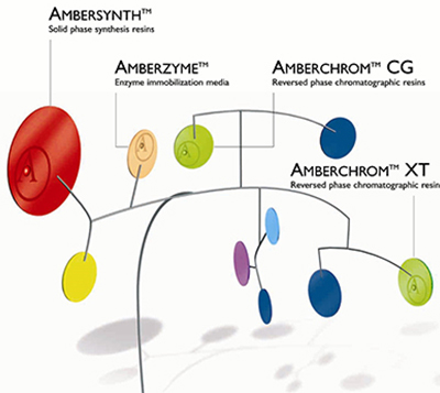 Dowex离子交换色谱填料