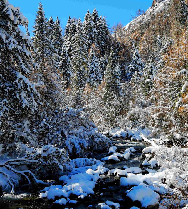 林海雪原玛嘉沟：元旦耍雪首选地