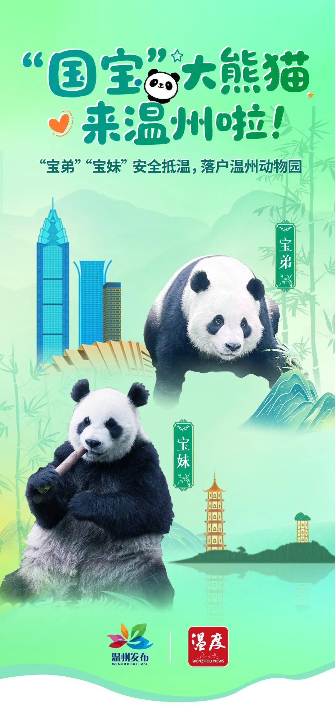 After nearly 5 years, Wenzhou Zoo Welcomes Back Giant Pandas