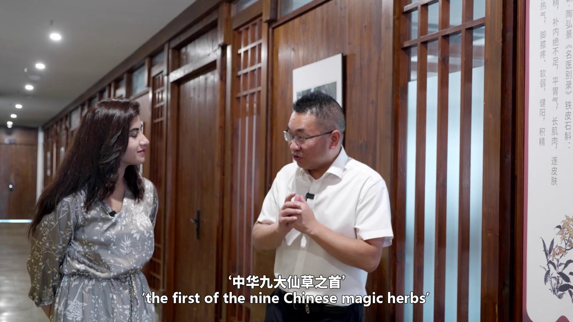 A Global Tour of Chinese Magic Herbs① --Dendrobium officinale