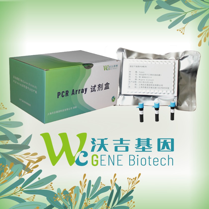 双硫死亡PCR阵列-人