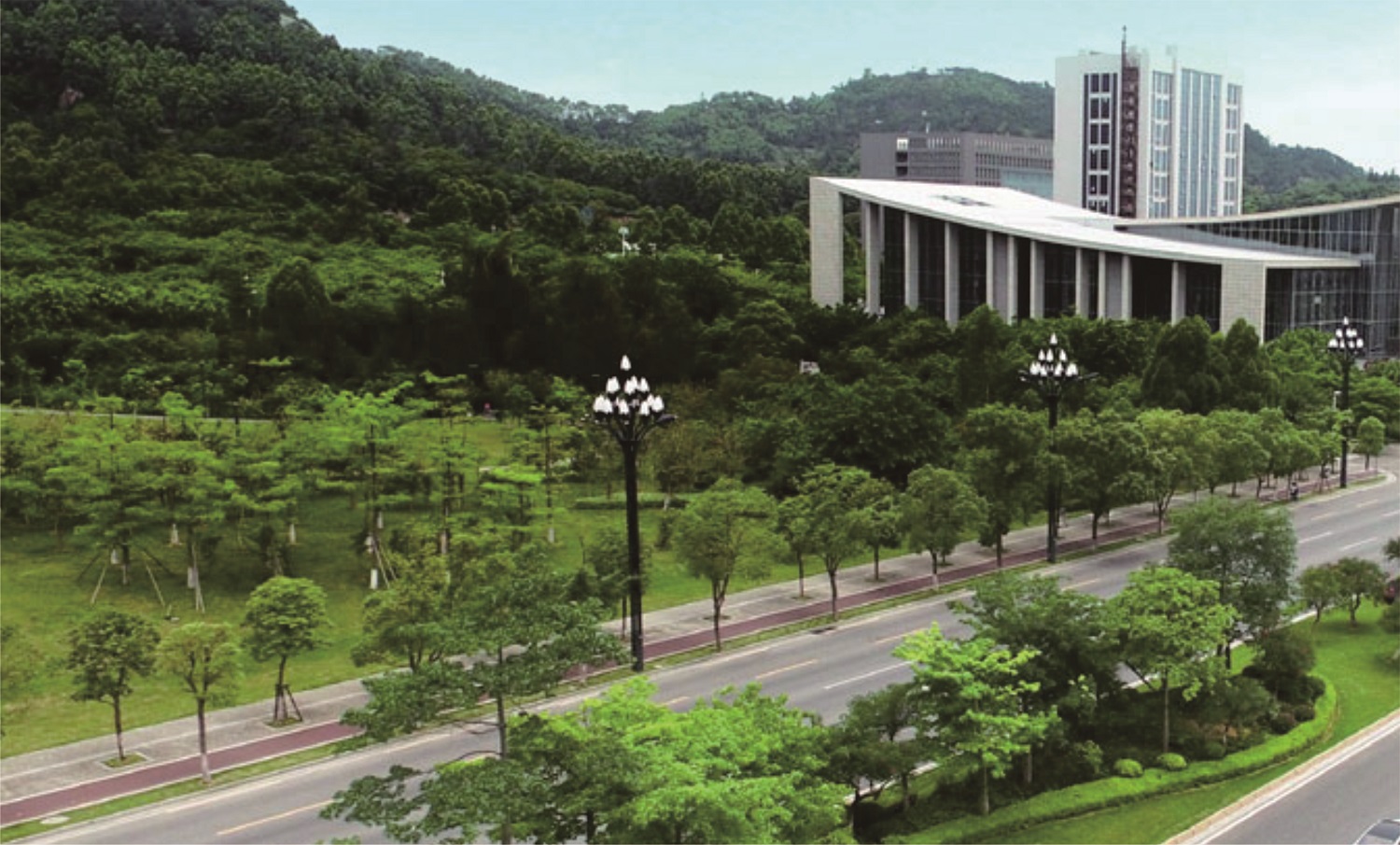 景观施工——福建晋江·世纪大道景观工程