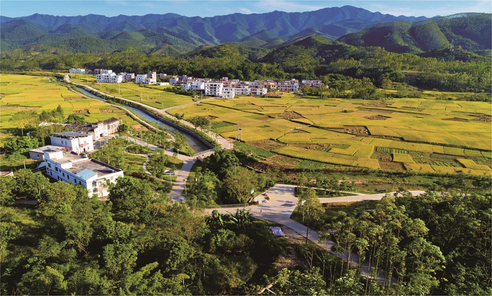 乡村振兴——广东云浮·云安及新兴新农村建设工程