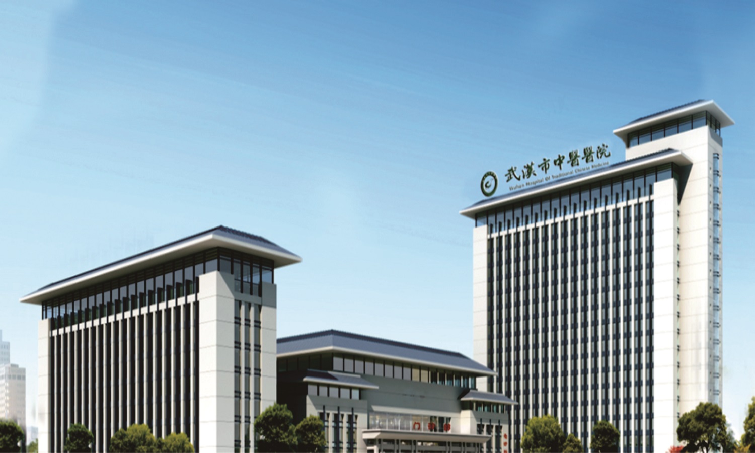 可行性研究报告——武汉市中医医院机械式立体停车库