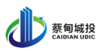 蔡甸城投