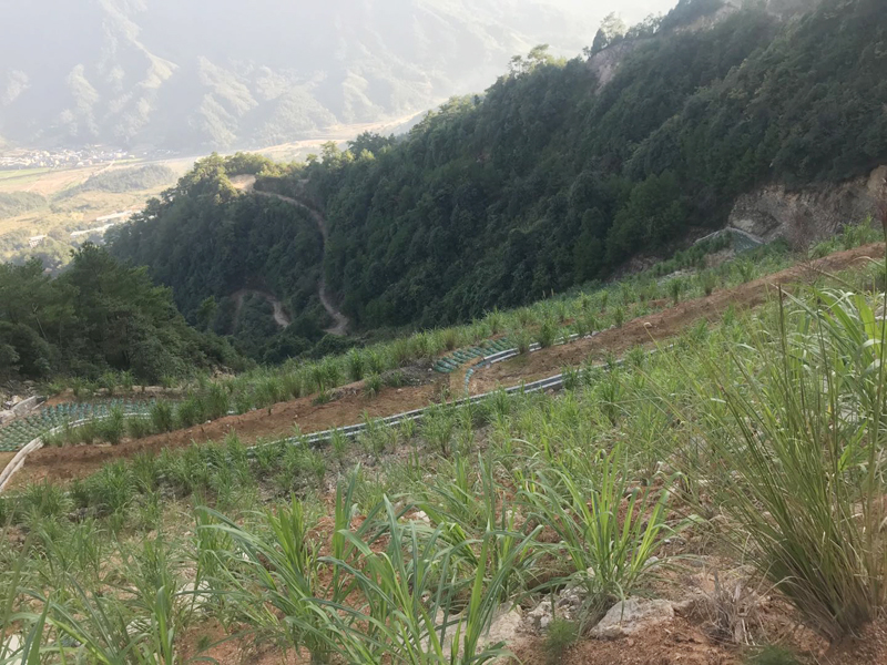 福建省闽江流域山水林田湖草生态保护修复项目-泰宁县大龙乡矿山生态保护修复工程（恒泰吉、佳业、兴财、盛杰矿点二期、振南矿点）