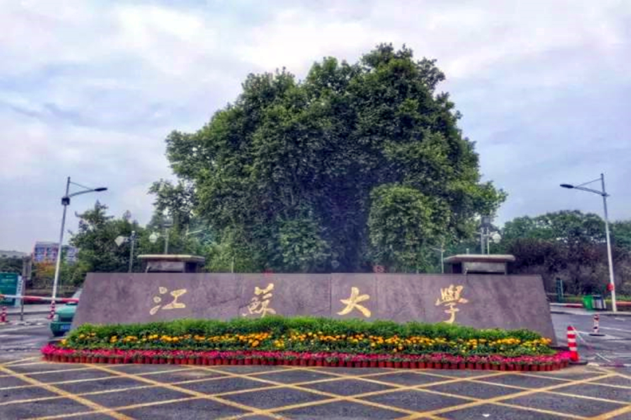 江苏大学