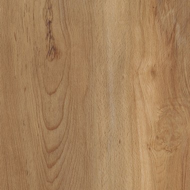 Spalted Beech AROW7480