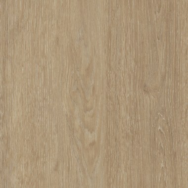 Spacia-WOOD-WARM SS5W2549