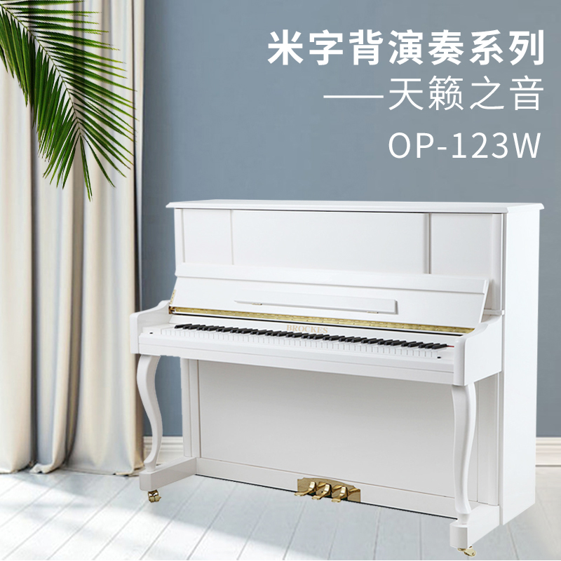 布鲁克斯——天籁之音 米字背演奏系列OP-123W 家庭版