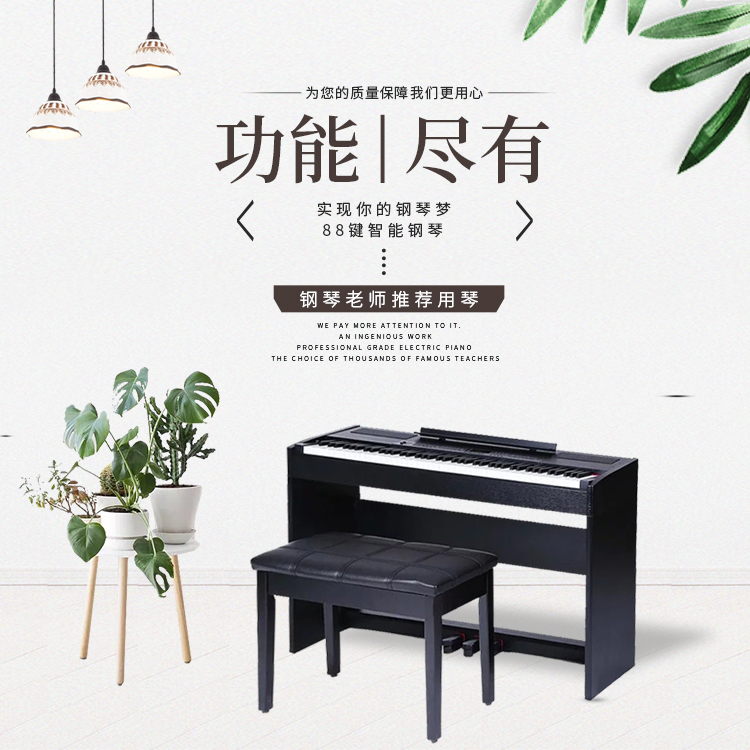 布鲁克斯电钢 ZP-60  88键逐级配重力度键盘