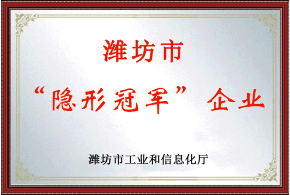 隐形冠军企业