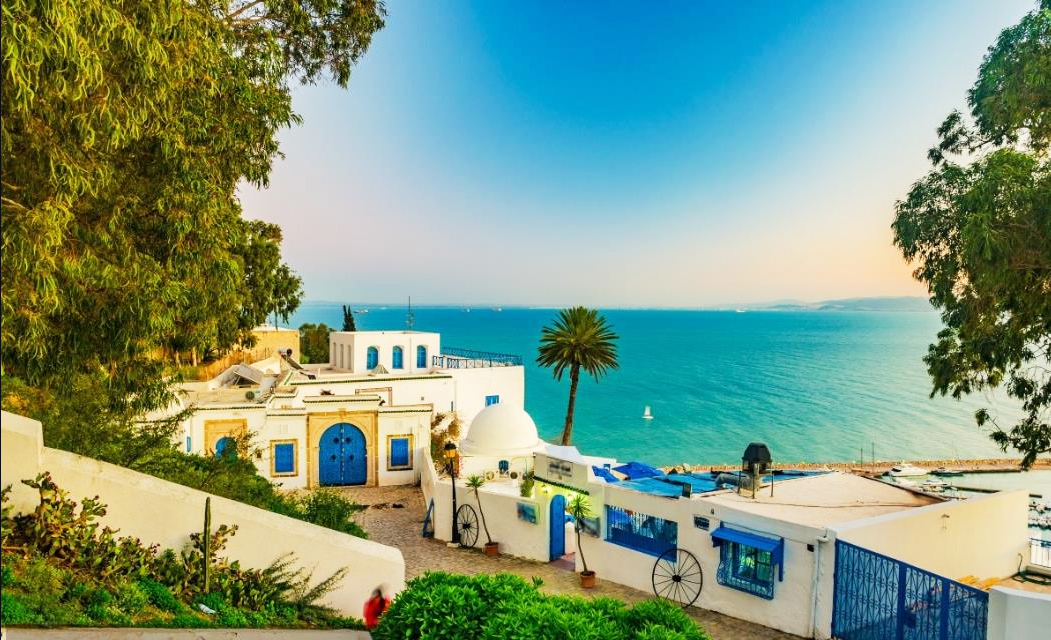 突尼斯5天4晚落地散拼