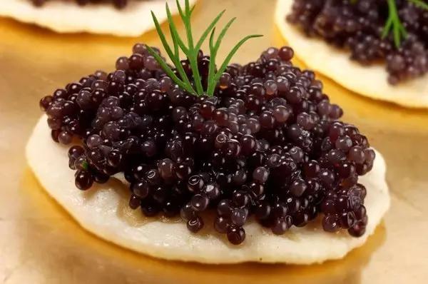 
	
鱼子酱鱼caviar


 


	
		“caviar”是一个专有名词，在过去数百年来都是专指“鲟鱼卵”。有可以制作鱼子酱的鲟鱼不止一种，但人们通常更推崇里海野生鲟鱼的鱼子，比如里海沿伊朗，是世界最大鱼子酱出口国之一，最优质的鱼子酱，被称为“伊朗钻石”
	

	
		

	

	
		

	
	
		

	

	
	

	
		
	
	
		
	
 


	



	_______



	_______


	


	


 

	


	_______
_______


 
