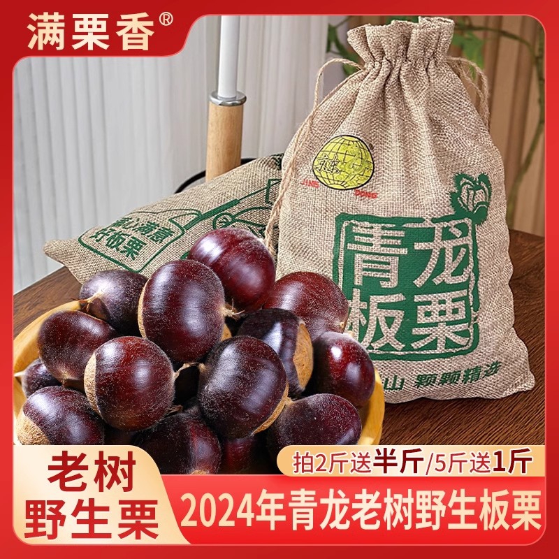满栗香 2024年新鲜栗子青龙老树生板栗 坚果零食 河北特产5斤装