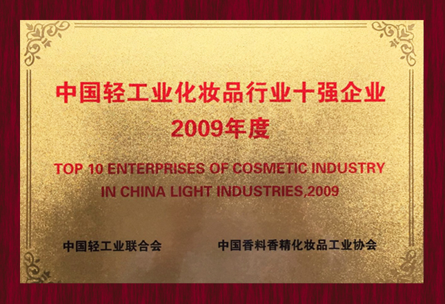 2009年度中国轻工业化妆品行业十强企业