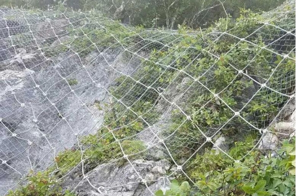 微信截图_20241121101728.png 微信截图_20241121101728.png