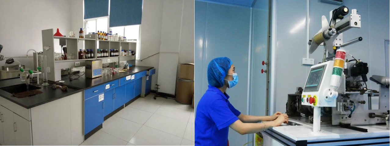 独家探访：白桦茸研发基地，揭秘科技与健康的融合！