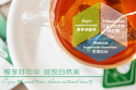 白桦茸：黑色森林钻石，金色健康品质！