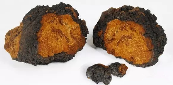 如何挑选高品质的白桦茸产品？