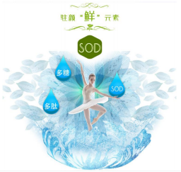 [桦树茸精粉]白桦茸：自然界的抗氧化明星