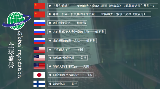 为什么日本、韩国都在抢购白桦茸？它到底有多神奇