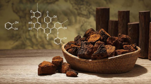 [广东白桦茸公司]智慧之选：白桦茸如何助力大脑活力与认知功能