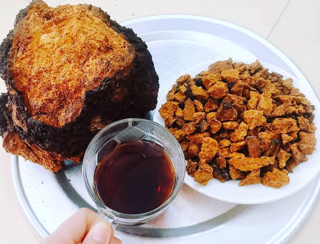 秋季养生正当时，桦芝道-白桦茸来助力!