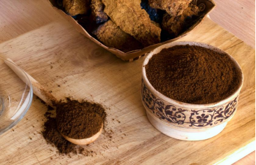 上班族的养生新宠：白桦茸如何助力高效工作?